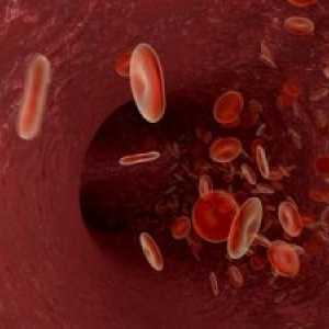 Трансфузија на крв и крвни продукти кај децата