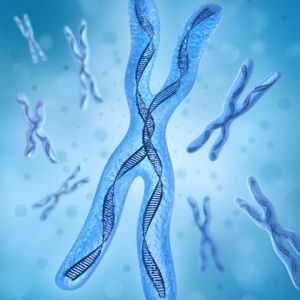 Трисомија на хромозом 13