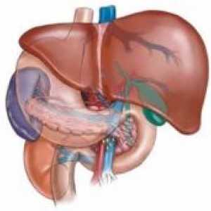 Тромбоза на хепаталната артерија