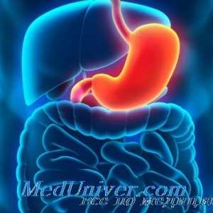Ефект на хормонот за раст (GH) во стомакот. Вредноста за надбубрежните ACTH