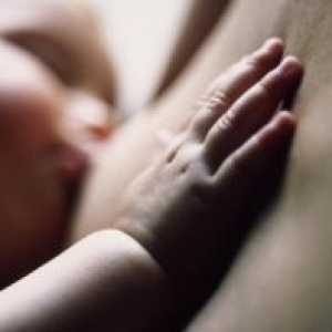 Прашања во врска со бебето на доењето