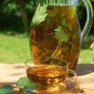 Зелен чај со панкреатитис (на панкреасот), комбуха, јас може да се пие?